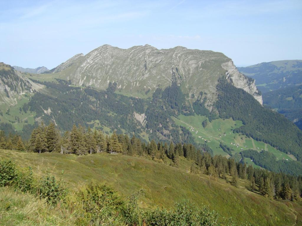 Ferienbauernhof Beer Villa Schoppernau Exteriör bild