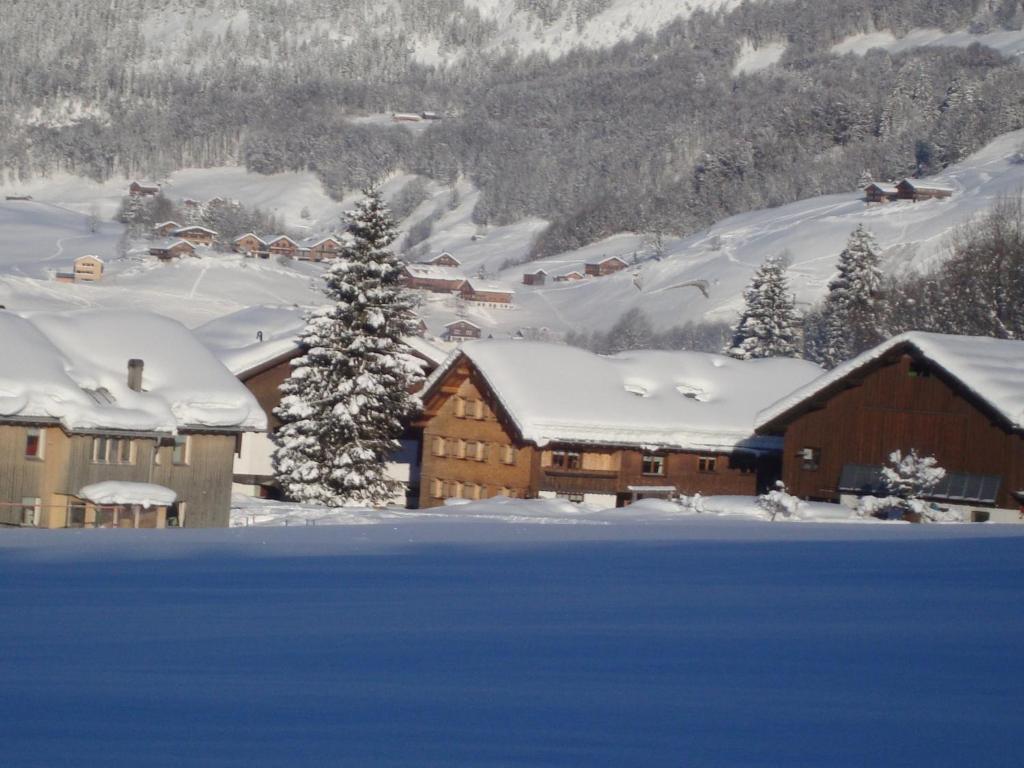 Ferienbauernhof Beer Villa Schoppernau Exteriör bild